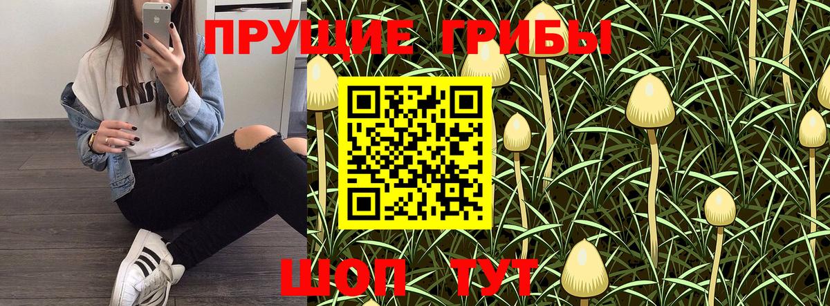 Галлюциногенные грибы Psilocybe  Вход с VPN  Красногорск 